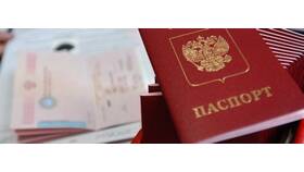 Чем отличается виза от загранпаспорта в Emex