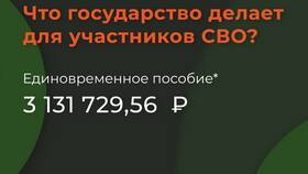 Что такое единовременная страховая выплата в Emex