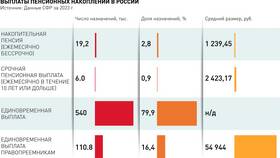 Что такое срочная накопительная пенсия