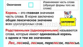 Что значит приставка, корень, суффикс и окончание в Emex