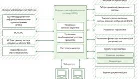 Эпикриз и выписка: основные различия в Emex