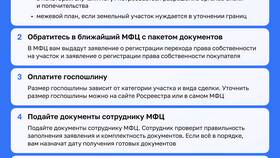 Как оформить квартиру в собственность через МФЦ в Emex
