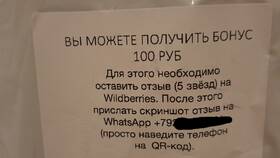 Как оставить отзыв на Wildberries в Emex