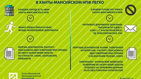 Как получить копию выплатного дела в ПФР в Emex