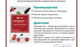 Как правильно разводить Фитоверм 0.2% для обработки растений в Emex