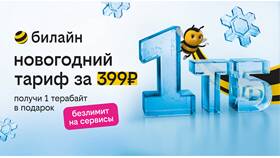 Как узнать текущий тарифный план на Билайне в Emex