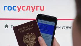 Как восстановить ИНН через Госуслуги в Emex