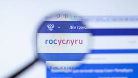 Как войти в личный кабинет юридического лица на Госуслугах в Emex