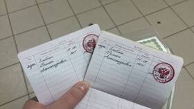 Как вписать ребенка в загранпаспорт в Emex