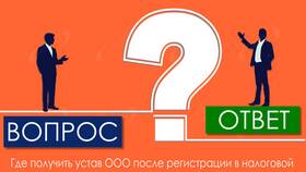 Как заказать устав ООО в налоговой в Emex