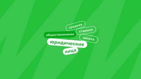 Юридические лица: основные понятия и характеристики в Emex