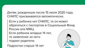 Зачем организации СНИЛС в Emex