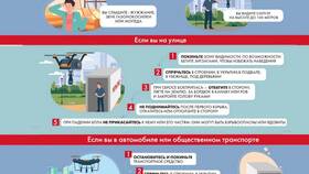 Живые письма: что писать и как оформлять в Emex
