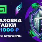 Что значит страховка ставки