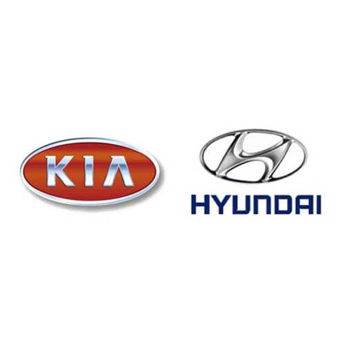 Топливный фильтр Hyundai-KIA S319222B900 в Emex